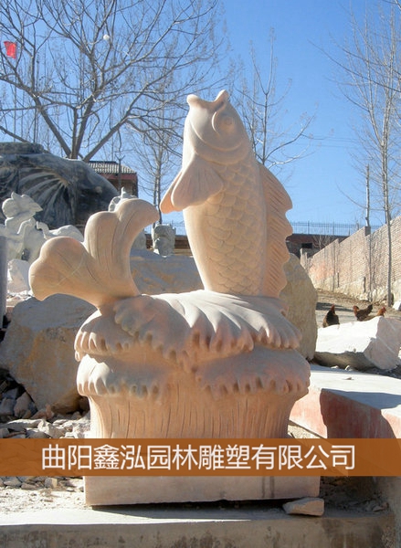 鯉魚(yú)